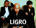 Ligro